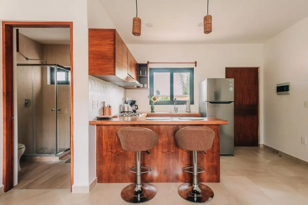 Beautiful Loft Near The Beach Playa del Carmen Apartment