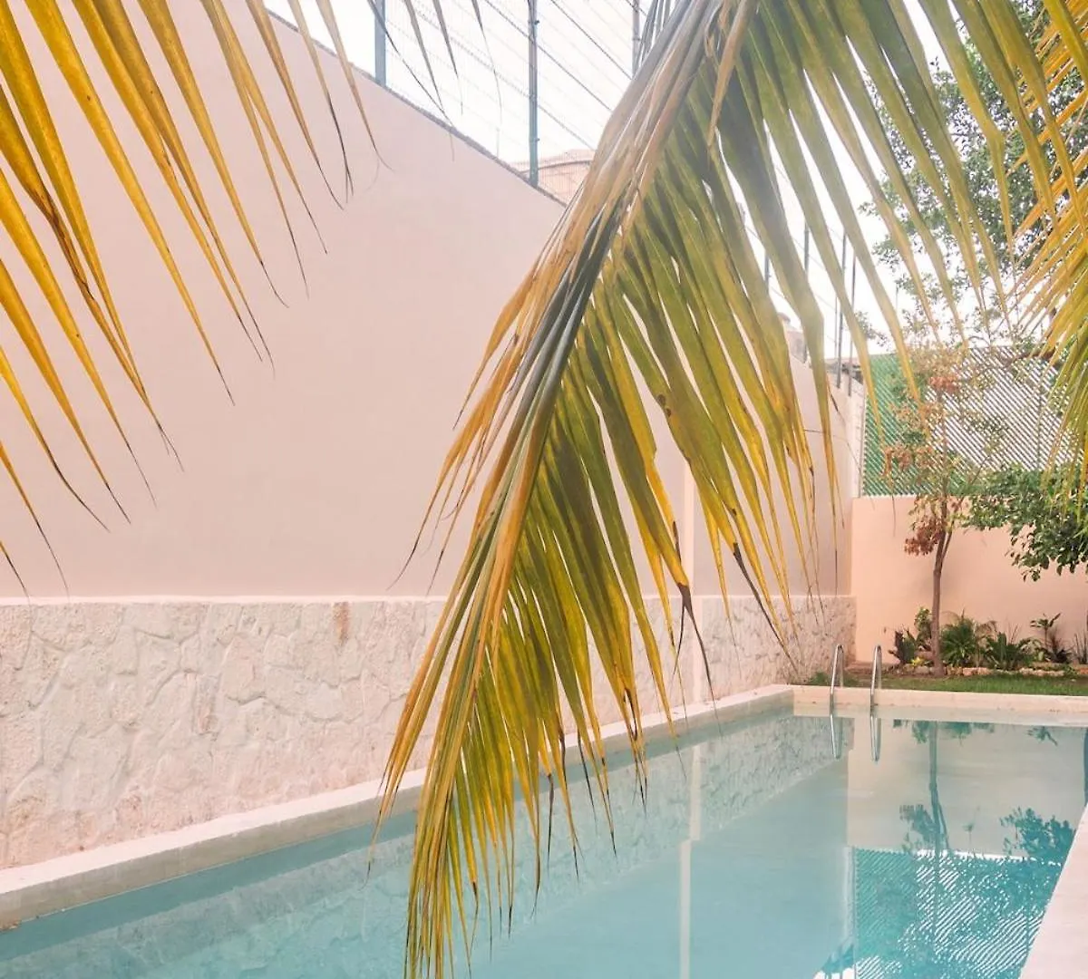 Apartment Beautiful Loft Near The Beach Playa del Carmen Mexico